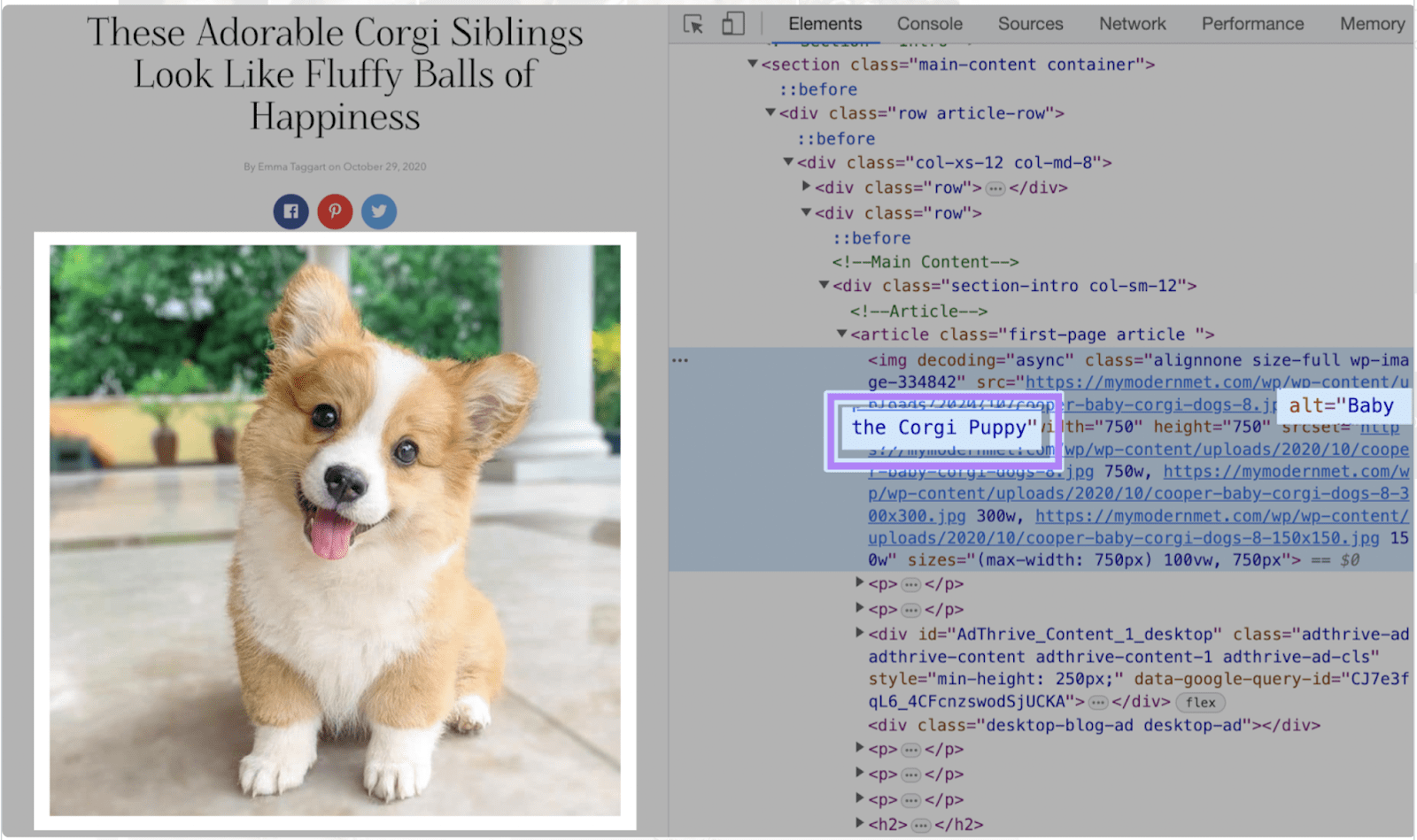 Image from https://www.semrush.com/blog/check-website-accessibility